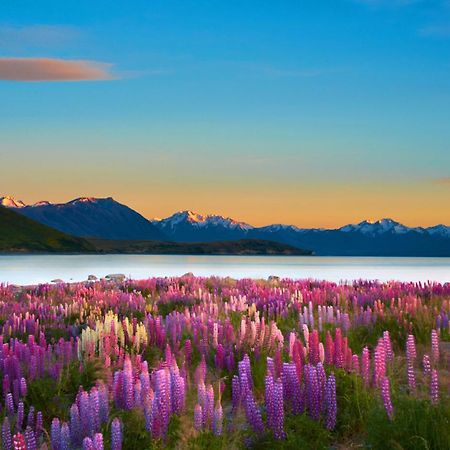 Lake Views At Antler Lodge Lake Tekapo Dış mekan fotoğraf