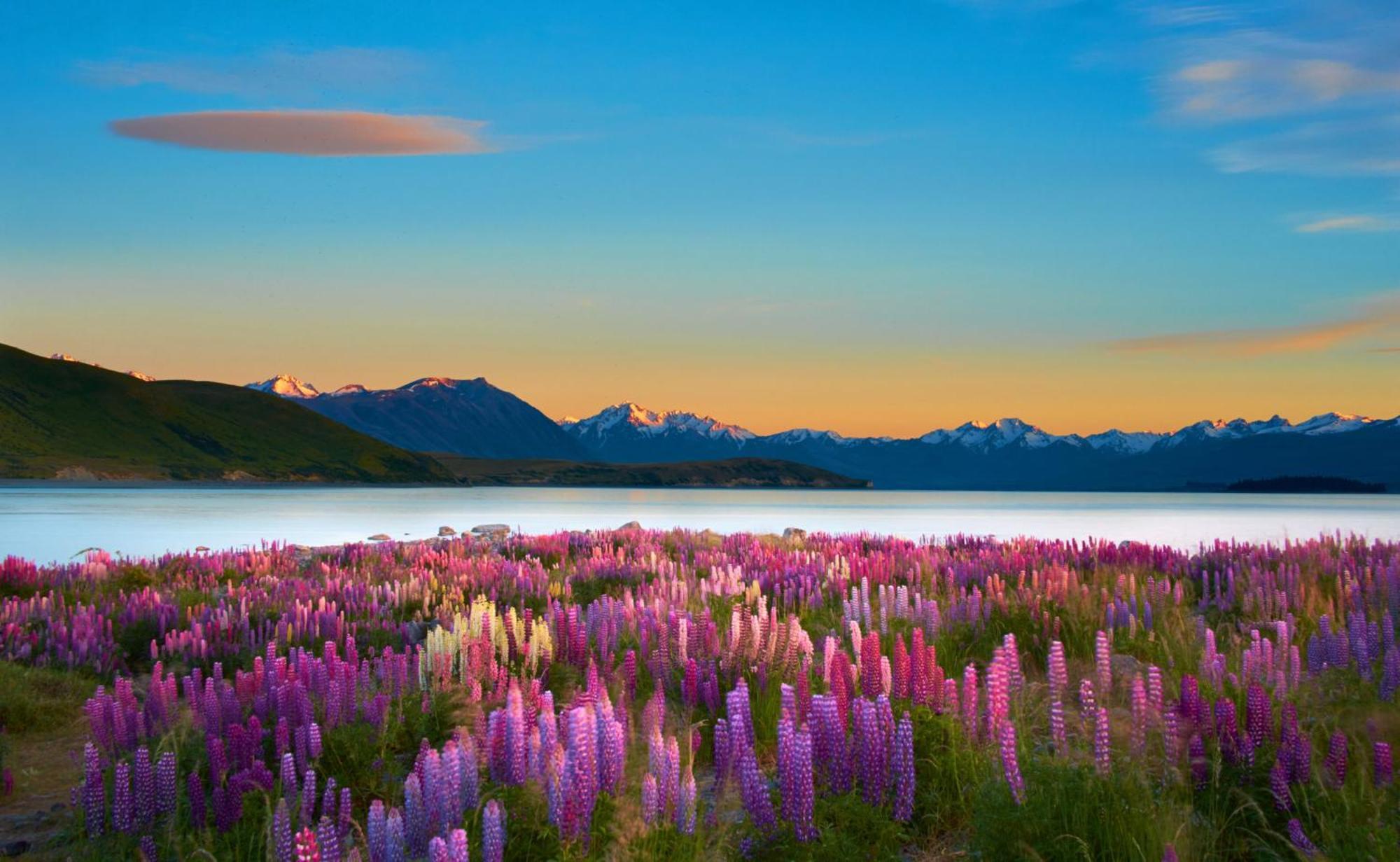 Lake Views At Antler Lodge Lake Tekapo Dış mekan fotoğraf