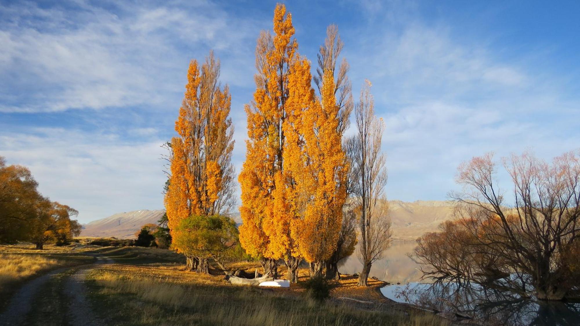 Lake Views At Antler Lodge Lake Tekapo Dış mekan fotoğraf